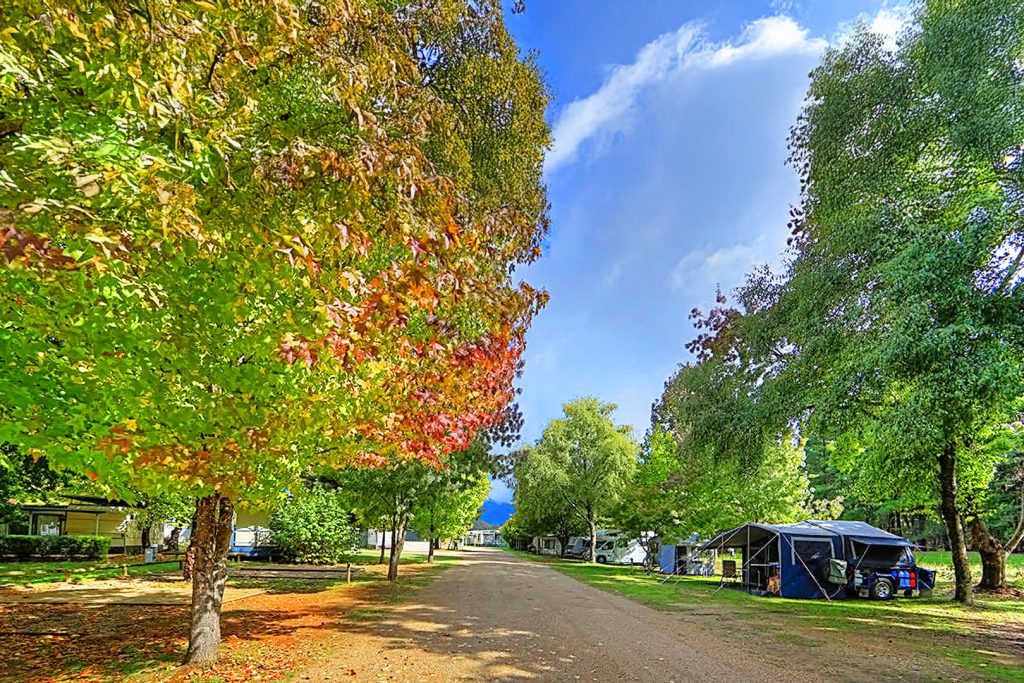 03-bright-valley-holiday-park-powered-site Powered caravan and camping site at Bright Valley Holiday Park in Porepunkah, Grassy Area, Plenty of Shade
