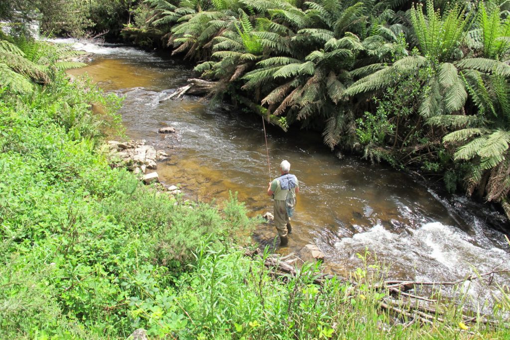 04-bright-valley-holiday-park-fishing Bright Valley Holiday Park, Porepunkah, BIG 4, Ovens River, Fishing, Fly Fishing, Trout