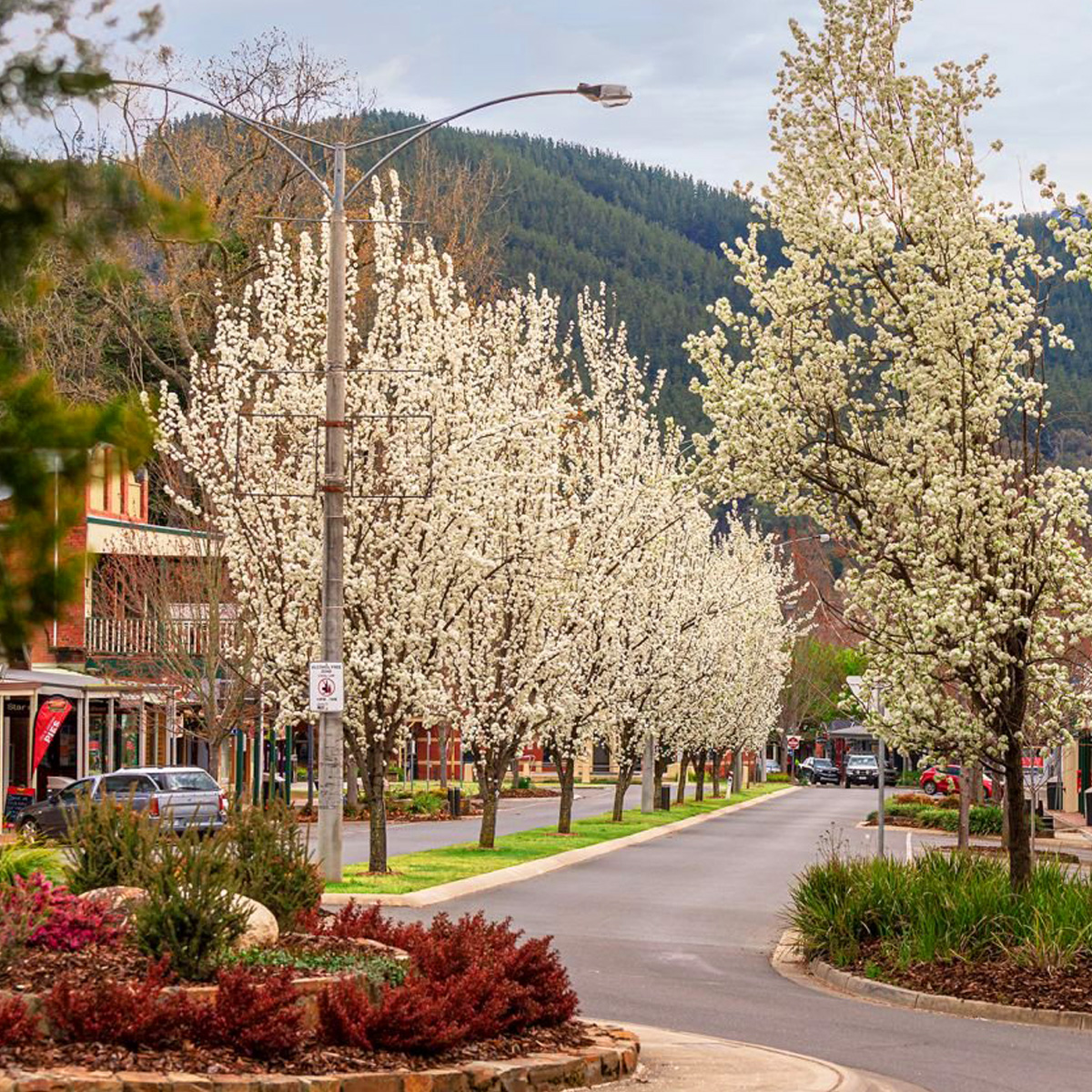 Bright Valley Holiday Park, BIG4, Porepunkah Spring Festival