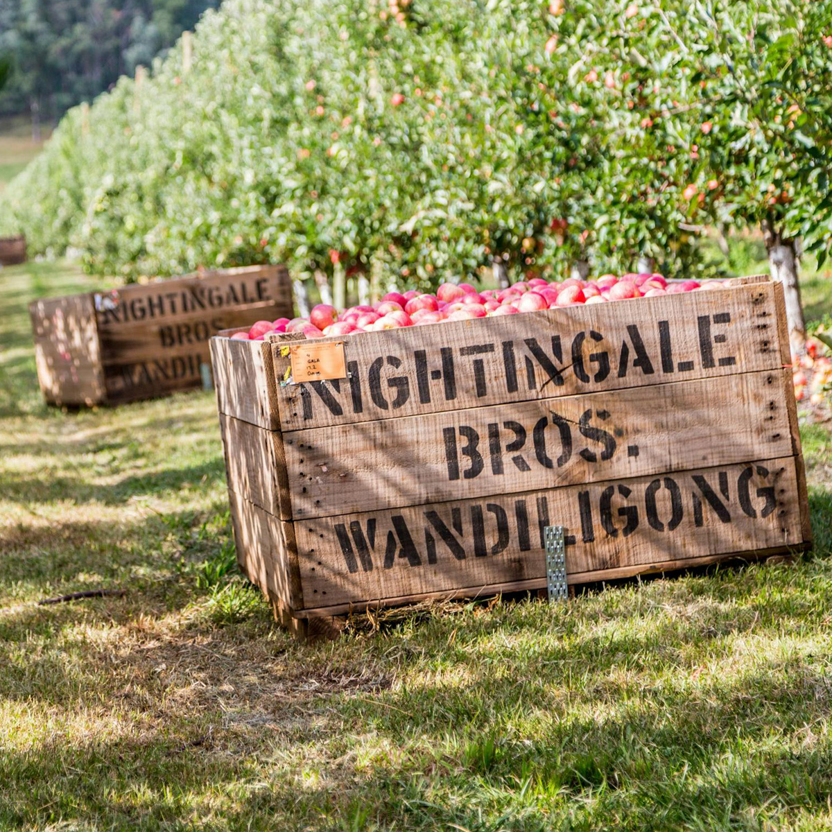 Bright Valley Holiday Park, BIG4, Porepunkah, Local Produce