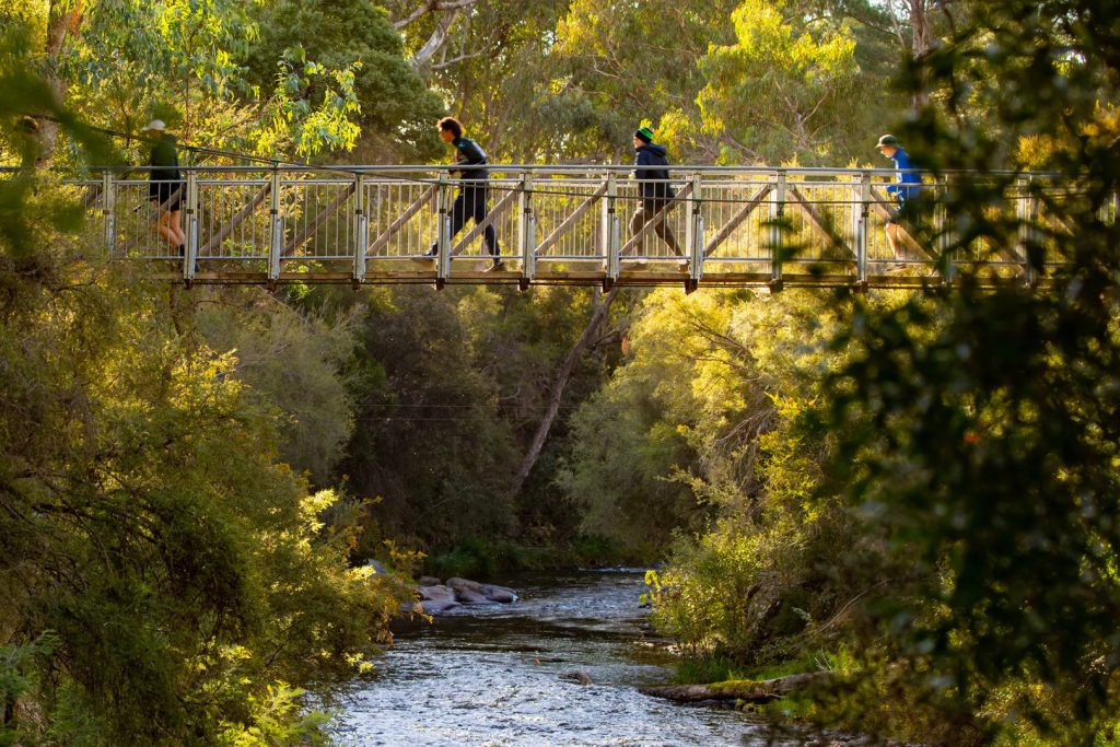 BVHP-Walks and Trails Guide-Canyon-Walk-03 Bright Valley Holiday Park, BIG4, Hiking, Walks and Trails, Canyon Walk