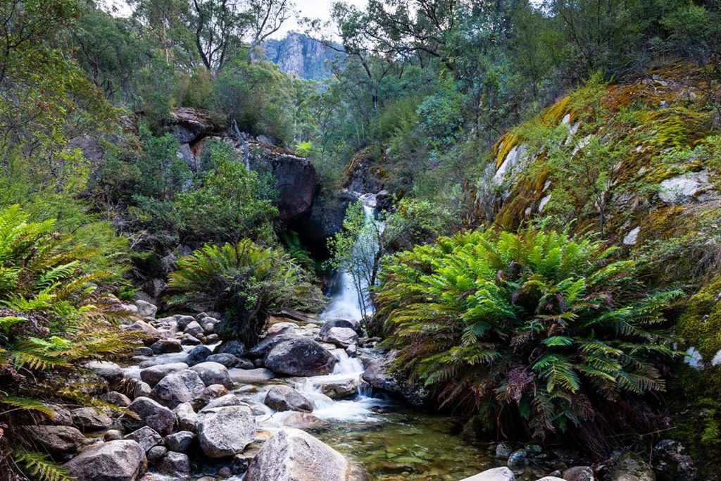 BVHP-Walks and Trails Guide-Eurobi-Ladies-Bath-Waterfalls-03 Bright Valley Holiday Park, BIG4, Hiking, Walks and Trails, Eurobond Creek, Ladies Bath Falls, Mount Buffalo