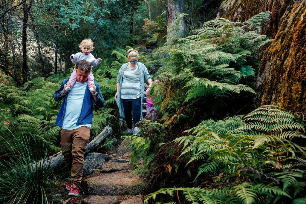 BVHP-Walks and Trails Guide-Eurobi-Ladies-Bath-Waterfalls-04 Bright Valley Holiday Park, BIG4, Hiking, Walks and Trails, Eurobond Creek, Ladies Bath Falls, Mount Buffalo