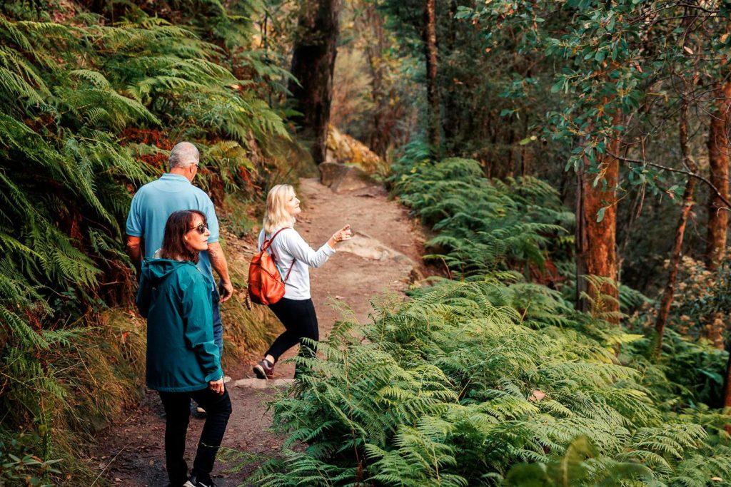 BVHP-Walks and Trails Guide-Eurobi-Ladies-Bath-Waterfalls-05 Bright Valley Holiday Park, BIG4, Hiking, Walks and Trails, Eurobond Creek, Ladies Bath Falls, Mount Buffalo