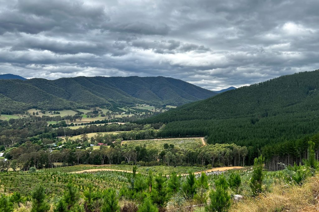 BVHP-Walks and Trails Guide-Huggins-Lookout-04 Bright Valley Holiday Park, BIG4, Hiking, Walks and Trails, Huggins Lookout