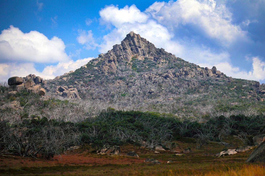 BVHP-Walks and Trails Guide-The-Horn-Mount-Buffalo-03 Bright Valley Holiday Park, BIG4, Hiking, Walks and Trails, The Horn, Mount Buffalo